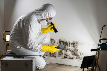 Commercial Mold Remediation Solutions
