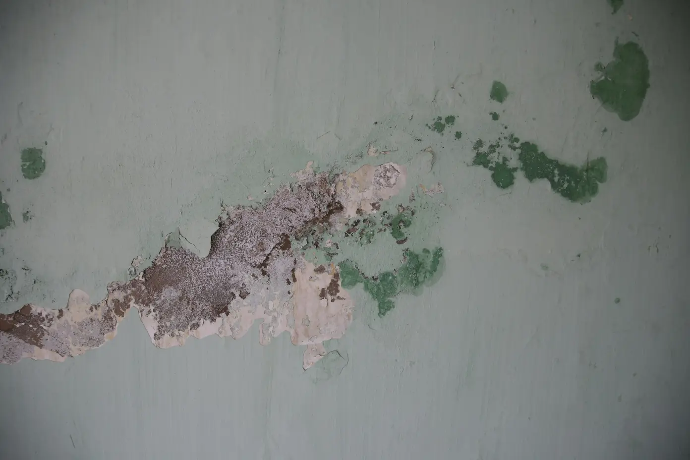 San Diego Mold Removal Specialists establishing negative air containment