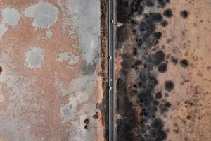 Mold Testing