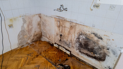 Emergency Water Damage Restoration Services